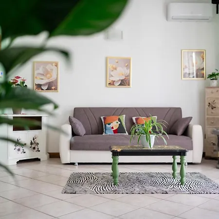 Alojamento de Acomodação e Pequeno-almoço Alice Mercadini